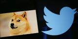 Έλον Μάσκ, Twitter, Κατρακυλά, Dogecoin,elon mask, Twitter, katrakyla, Dogecoin