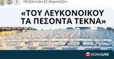 Παρουσιάστηκε, Του Λευκονοίκου,parousiastike, tou lefkonoikou