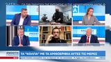 Απόστολος Ραυτόπουλος,apostolos raftopoulos