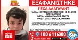 Συναγερμός, 10χρονου, Ιωάννινα,synagermos, 10chronou, ioannina