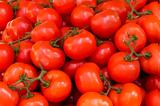 Ντομάτες, NASA,ntomates, NASA