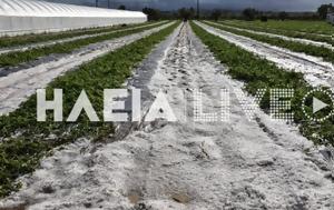 Σφοδρή, Ηλεία – Μεγάλες, sfodri, ileia – megales