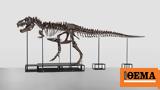 Τυραννόσαυρου Ρεξ, €56, Ελβετία,tyrannosavrou rex, €56, elvetia