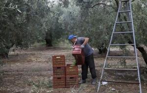 Γιατί αργοπεθαίνει η ελληνική επαρχία;