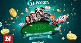 Novibet Poker,