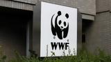 WWF, Μεσογειακές,WWF, mesogeiakes