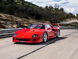 Ferrari F40,Alain Prost