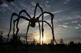 Louise Bourgeois,