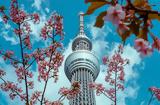 Υόρκη – Τόκιο,yorki – tokio