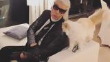 Karl Lagerfeld, – Πού,Karl Lagerfeld, – pou