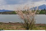 Ηλικιωμένος, Μεσσηνία - Έφυγε,ilikiomenos, messinia - efyge