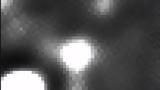 Αστρονόμοι,astronomoi