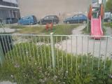Χορταριασμένη, Πάτρας,chortariasmeni, patras