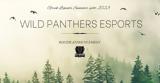 Wild Panthers Esports, Greek Legends Summer,2023