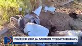 Πόλεμος Ουκρανία, Επιθέσεις, Κίεβο, Οδησσό,polemos oukrania, epitheseis, kievo, odisso