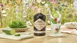 Άμβυξ, Hendrick’s Flora Adora Gin,amvyx, Hendrick’s Flora Adora Gin