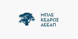 Μπλε Κέδρος, Αδιάθετα, €1211, ΑΜΚ,ble kedros, adiatheta, €1211, amk