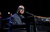 Stevie Wonder,