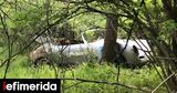 Δάσος, -Ποιον,dasos, -poion