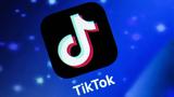 TikTok, AI Chatbot,Tako