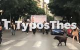 Πολύχρωμη, Thessaloniki Pride, Θεσσαλονίκη ΦΩΤΟ,polychromi, Thessaloniki Pride, thessaloniki foto