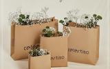 CELESTINO GOES GREEN,