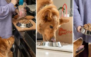 petchef - Το βραβευμένο μαγειρευτό φαγητό για τον σκύλο σου!