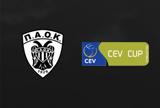 CEV Cup, Κυπελλούχοι,CEV Cup, kypellouchoi