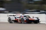 Toyota,Le Mans