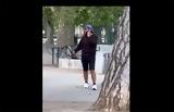 Γρίφος, Ανεσί -, Σύρου, Τουρκία, Ελλάδα, Σουηδία,grifos, anesi -, syrou, tourkia, ellada, souidia