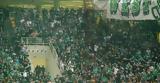 Παναθηναϊκός, Τρέλα, Game 4, Ολυμπιακό, 4 000,panathinaikos, trela, Game 4, olybiako, 4 000