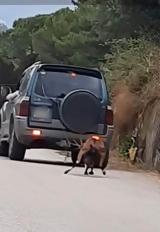 Ζάκυνθος, Πρόστιμο 30 000, 63χρονο – Έσερνε,zakynthos, prostimo 30 000, 63chrono – eserne