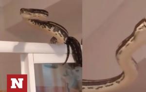 Πήγε, pige