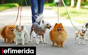 Απίστευτο, Δισεκατομμυριούχοι, -περιουσία -Πόσα, apistefto, disekatommyriouchoi, -periousia -posa