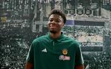 Κώστας Αντετοκούνμπο, Πρωτάθλημα, Final 4,kostas antetokounbo, protathlima, Final 4