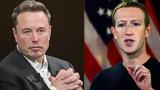 Musk, Zuckerberg,UFC