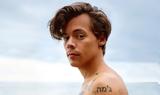 Απίθανος Harry Styles, Σταμάτησε,apithanos Harry Styles, stamatise