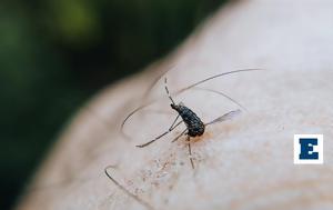 Νέα μελέτη: Έτσι θα κρατήσετε μακρυά τα ενοχλητικά κουνούπια
