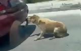 Φρικτός, ΙΧ VIDEO,friktos, ich VIDEO