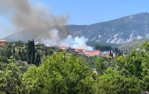 Προσαγωγή, Σάμο – Καλύτερη, prosagogi, samo – kalyteri