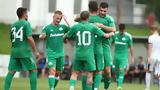 Παναθηναϊκός-Ρογκάσκα 3-1, Θετικά,panathinaikos-rogkaska 3-1, thetika