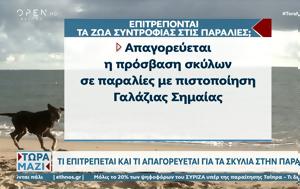 Τι επιτρέπεται και τι απαγορεύεται για τα σκυλιά στην παραλία