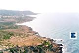 Αντιδράσεις, Σαρακήνικο -,antidraseis, sarakiniko -