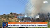 Φωτιά, Πλατανίτης, Ναύπακτο,fotia, platanitis, nafpakto