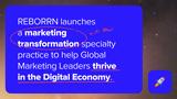 Reborrn, Consulting Practice,Marketing Transformation