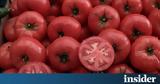 Ντομάτες, Εκτίναξη 445, - Ακριβότερη, Ινδία,ntomates, ektinaxi 445, - akrivoteri, india