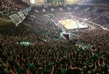 Παναθηναϊκός, ΟΑΚΑ, …Σλούκα,panathinaikos, oaka, …slouka