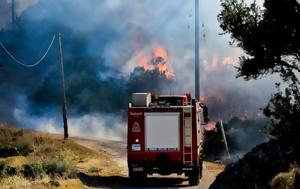 Αλεξανδρούπολη, Πυρκαγιά, ΑΡΣΙΣ, alexandroupoli, pyrkagia, arsis