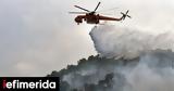 Φωτιά, Βερμίου -Στους Πύργους Κοζάνης,fotia, vermiou -stous pyrgous kozanis