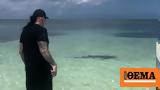 Undertaker, WWE, - Δείτε,Undertaker, WWE, - deite